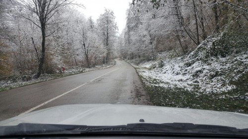 photo_2016-11-23_08-08-32