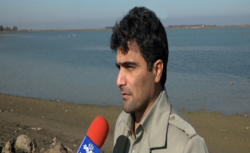 13951010000048_test_newphotofree