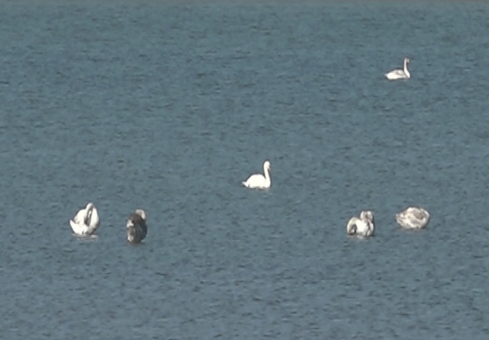 13951010000049_test_newphotofree