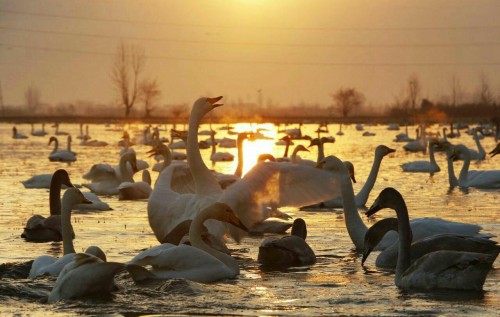 13951010000060_test_newphotofree