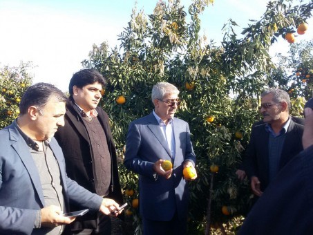 photo_2016-12-01_09-38-47