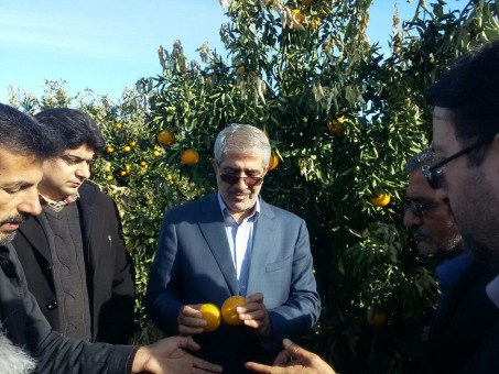 photo_2016-12-01_09-38-50