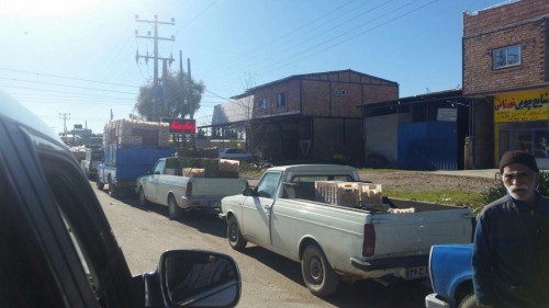 photo_2016-12-08_04-42-01