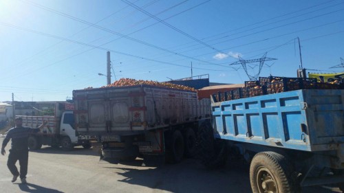 photo_2016-12-08_04-42-09