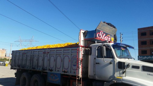 photo_2016-12-08_04-43-13