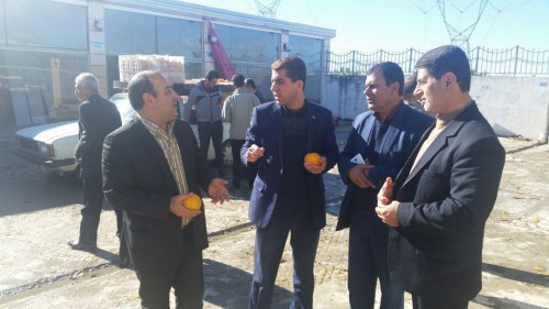 photo_2016-12-08_04-43-23