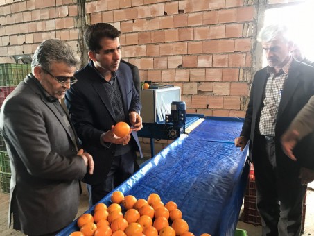 photo_2016-12-25_13-30-45