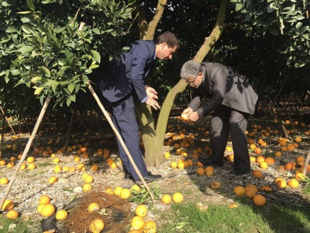 photo_2016-12-25_13-31-59